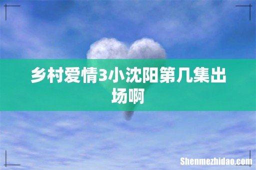 乡村爱情3小沈阳第几集出场啊
