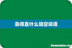 急得直什么填空词语