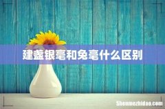 建盏银毫和兔毫什么区别