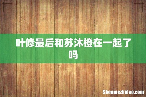 叶修最后和苏沐橙在一起了吗