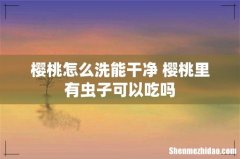 樱桃怎么洗能干净 樱桃里有虫子可以吃吗