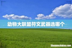 动物大联盟符文武器选哪个