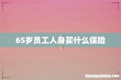 65岁员工人身买什么保险