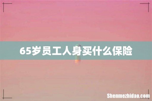 65岁员工人身买什么保险