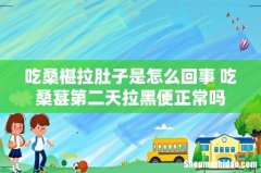 吃桑椹拉肚子是怎么回事 吃桑葚第二天拉黑便正常吗