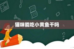 猫咪能吃小黄鱼干吗