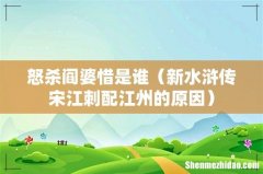 新水浒传宋江刺配江州的原因 怒杀阎婆惜是谁