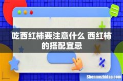 吃西红柿要注意什么 西红柿的搭配宜忌