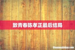 致青春陈孝正最后结局