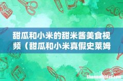 甜瓜和小米真假史莱姆pk 甜瓜和小米的甜米酱美食视频
