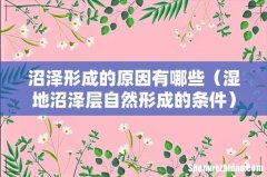 湿地沼泽层自然形成的条件 沼泽形成的原因有哪些