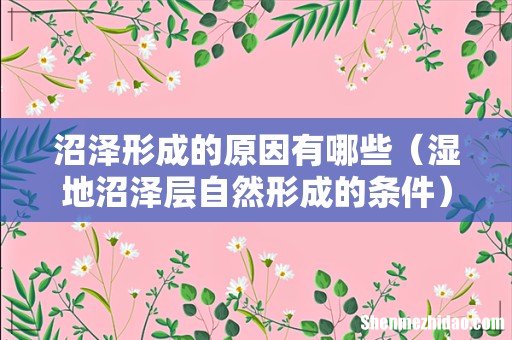 湿地沼泽层自然形成的条件 沼泽形成的原因有哪些