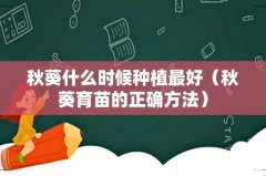 秋葵育苗的正确方法 秋葵什么时候种植最好