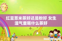 红豆薏米茶好还是粉好 女生湿气重喝什么茶好