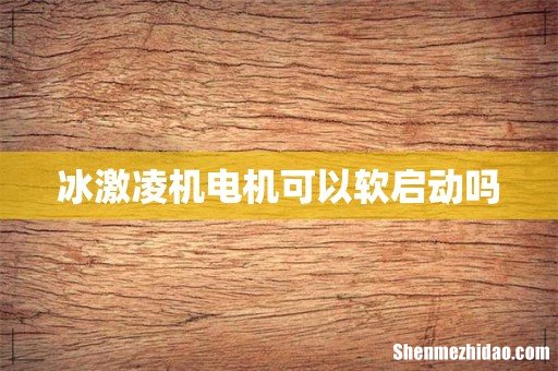 冰激凌机电机可以软启动吗