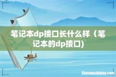 笔记本dp接口长什么样（笔记本的dp接口)