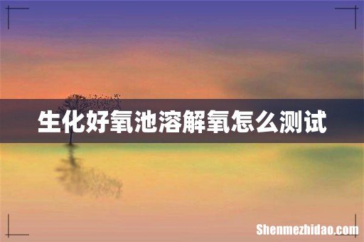 生化好氧池溶解氧怎么测试