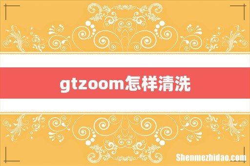 gtzoom怎样清洗