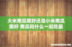 大米南瓜粥好还是小米南瓜粥好 南瓜和什么一起吃最好