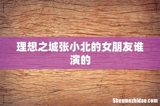 理想之城张小北的女朋友谁演的