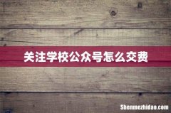 关注学校公众号怎么交费