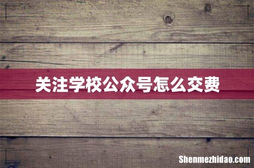 关注学校公众号怎么交费