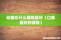 口碑最好的猫粮 幼猫吃什么猫粮最好