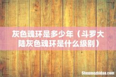 斗罗大陆灰色魂环是什么级别 灰色魂环是多少年