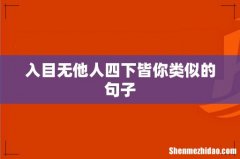 入目无他人四下皆你类似的句子