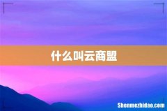 什么叫云商盟
