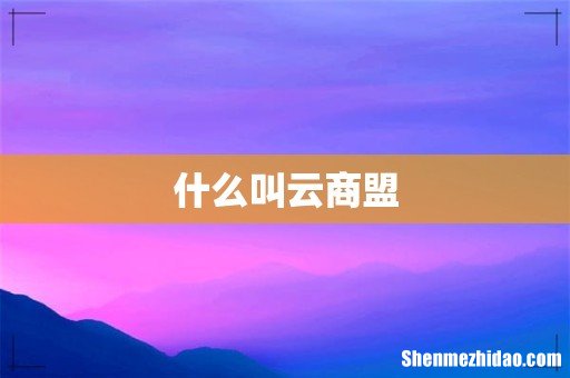 什么叫云商盟