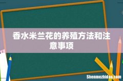 香水米兰花的养殖方法和注意事项