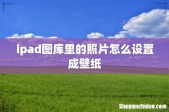 ipad图库里的照片怎么设置成壁纸