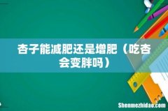 吃杏会变胖吗 杏子能减肥还是增肥
