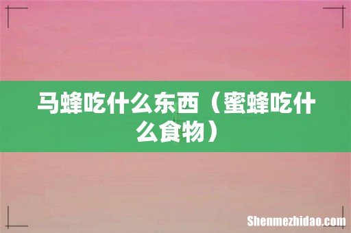 蜜蜂吃什么食物 马蜂吃什么东西