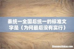 为何最后没有实行 秦统一全国后统一的标准文字是