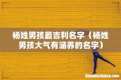 杨姓男孩大气有涵养的名字 杨姓男孩最吉利名字
