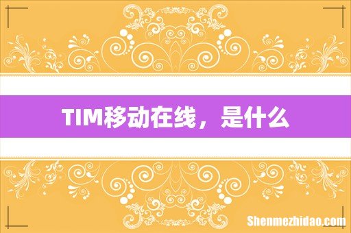 TIM移动在线,是什么