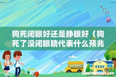 狗死了没闭眼睛代表什么预兆 狗死闭眼好还是睁眼好