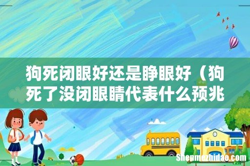 狗死了没闭眼睛代表什么预兆 狗死闭眼好还是睁眼好