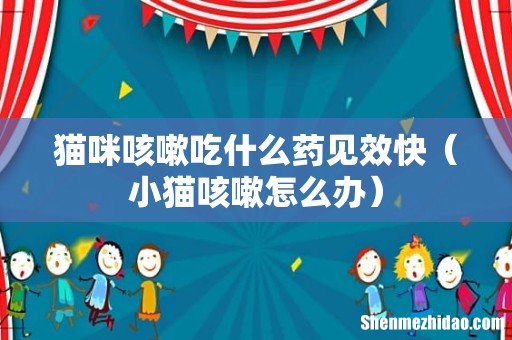 小猫咳嗽怎么办 猫咪咳嗽吃什么药见效快