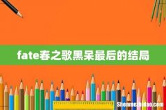 fate春之歌黑呆最后的结局