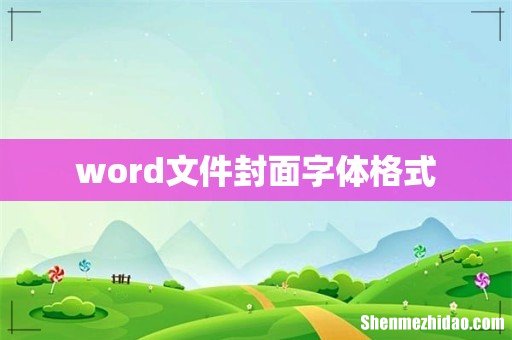 word文件封面字体格式