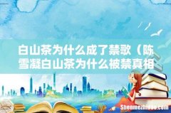 陈雪凝白山茶为什么被禁真相揭秘 白山茶为什么成了禁歌
