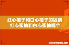 红心柚子和白心柚子的区别 红心蜜柚和白心蜜柚哪个好吃