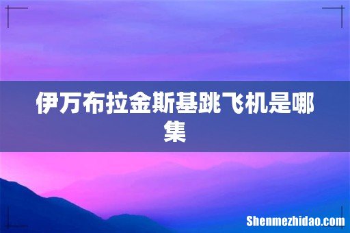 伊万布拉金斯基跳飞机是哪集