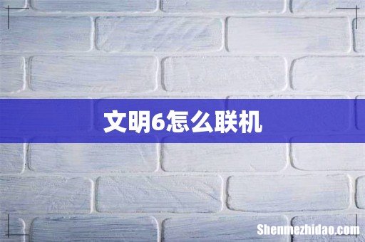 文明6怎么联机