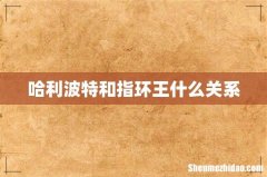 哈利波特和指环王什么关系
