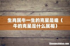 牛的克星是什么属相 生肖属牛一生的克星是谁