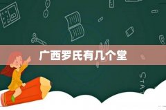广西罗氏有几个堂
